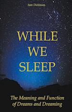 While we Sleep The Meaning and Function of Dreams and Dreaming 