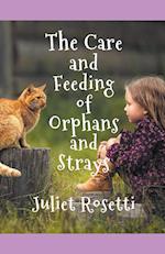 The Care & Feeding of Orphans and Strays 