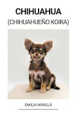 Chihuahua (Chihuahueño Koira)