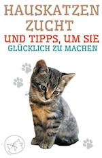 Hauskatzenzucht und Tipps, um sie Glücklich zu Machen