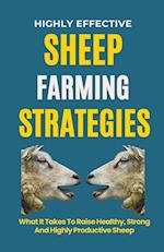 Highly Effective Sheep Farming Strategies