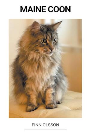 Maine Coon