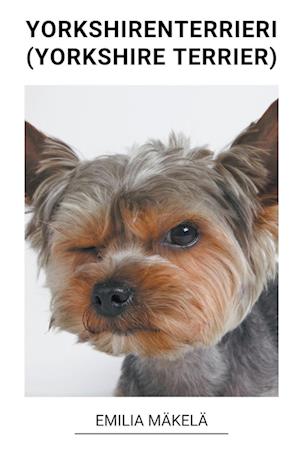 Yorkshiren Terrieri (Yorkshire Terrier)