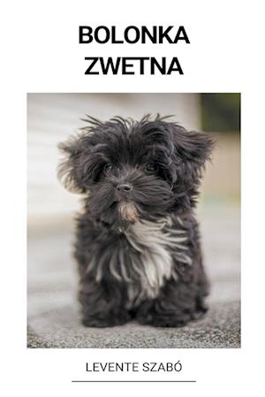 Bolonka Zwetna