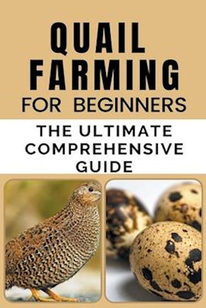 Quail Farming For Beginners