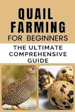 Quail Farming For Beginners