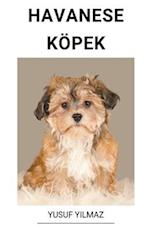 Havanese Köpek