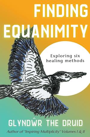 Finding Equanimity