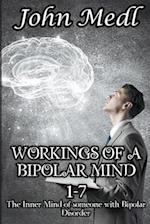 Workings of a Bipolar Mind 1-7 Omnibus