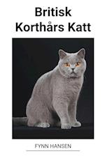 Britisk Korthårs Katt