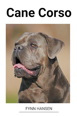 Cane Corso