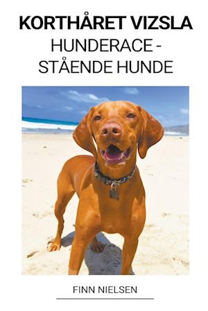 Korthåret Vizsla (Hunderace - Stående Hunde)