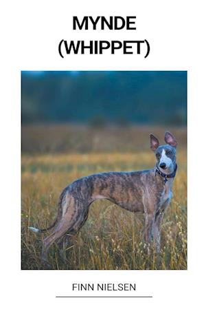 Mynde (Whippet)