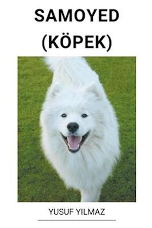 Samoyed (Köpek)