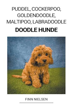 Få Puddel, Cockerpoo, Maltipoo, Labradoodle (Doodle Hunde) af Nielsen Paperback bog på dansk