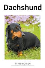 Dachshund