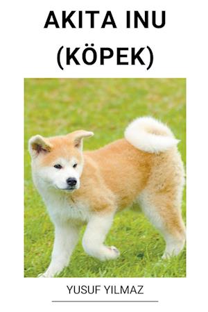 Akita Inu (Köpek)