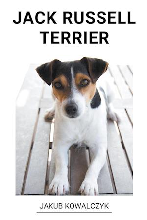 Jack Russell Terrier