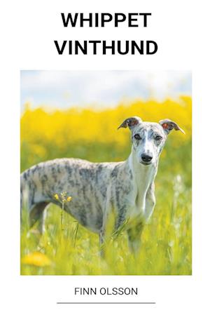 Whippet (Vinthund)