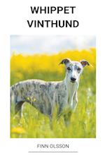 Whippet (Vinthund)