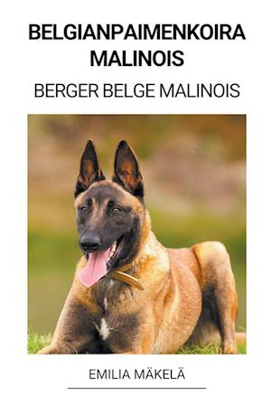 Belgianpaimenkoira Malinois (Berger Belge Malinois)