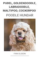 Pudel, Goldendoodle, Labradoodle, Maltipoo, Cockerpoo (Poodle Hundar)