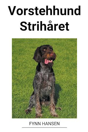 Vorstehhund Strihåret