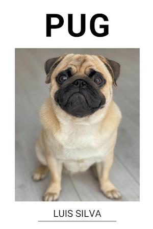 Pug