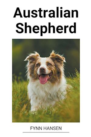 Australian Shepherd