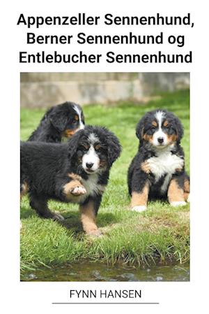 Appenzeller Sennenhund, Berner Sennenhund og Entlebucher Sennenhund