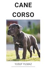 Cane Corso