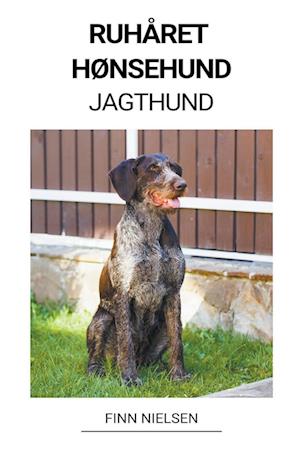 Ruhåret Hønsehund (Jagthund)