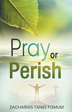 Pray or Perish 