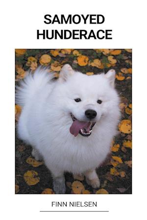 Samoyed (Hunderace)