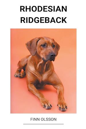 Rhodesian Ridgeback