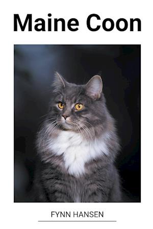 Maine Coon