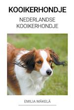 Kooikerhondje (Nederlandse Kooikerhondje)