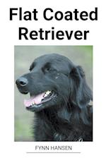 Flat Coated Retriever