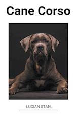 Cane Corso