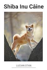 Shiba Inu Câine