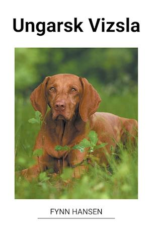 Ungarsk Vizsla