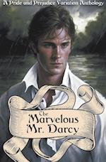 The Marvelous Mr. Darcy