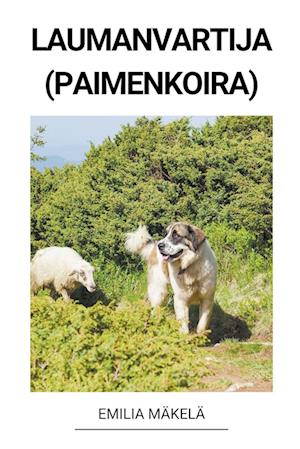 Laumanvartija (Paimenkoira)