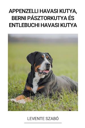 Appenzelli Havasi Kutya, Berni Pásztorkutya és Entlebuchi Havasi Kutya