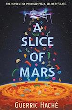 A Slice of Mars 