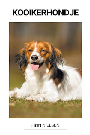 Kooikerhondje