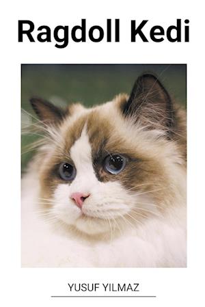 Ragdoll Kedi