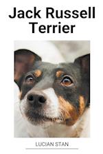 Jack Russell Terrier