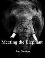 Meeting the Elephant