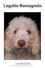 Lagotto Romagnolo